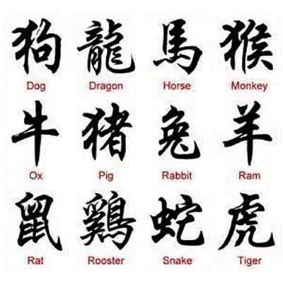 Animal name Chinese designs Fake Temporary Water Transfer Tattoo Stickers NO.10236